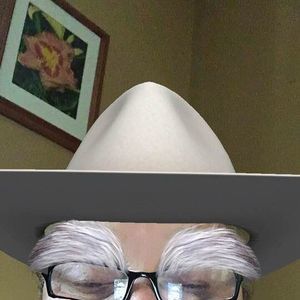 Meet your Posher, Ronald